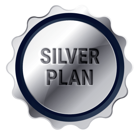 Plan pagina web silver